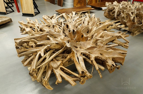 Тик корень Тик корень