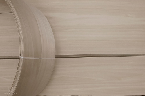 Тополь 52.003 Тополь 52.003