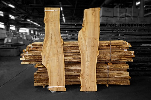 Карагач (Ильм) Карагач (Ильм)