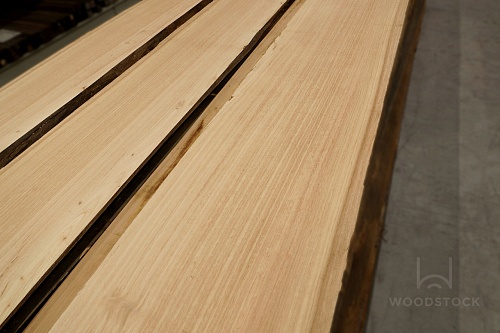 Эвкалипт необрезная доска Эвкалипт необрезная доска